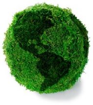 eco-friendly lawn care in Spring Hill