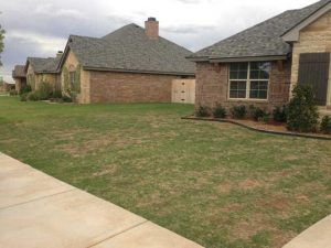 proper lawn mowing height