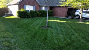 lawn mowing spring hill tn