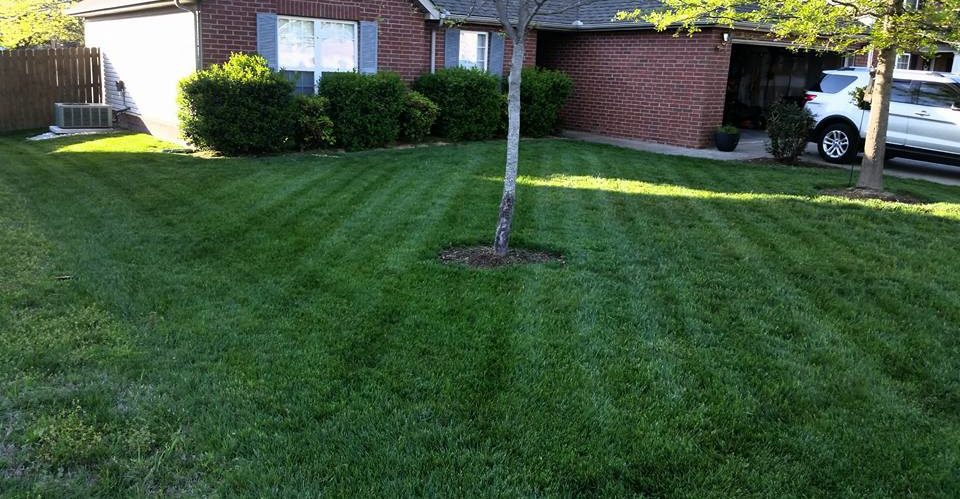 Best way to cheap cut high grass